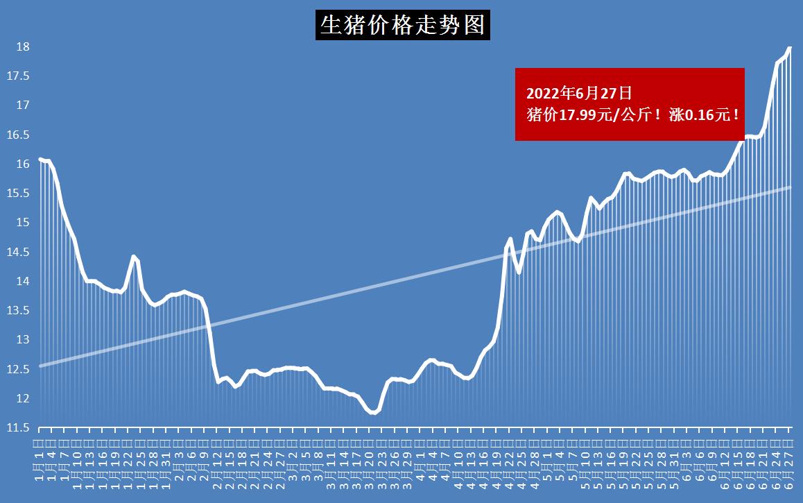 广东飘绿植物有限公司，绿色生态的引领者