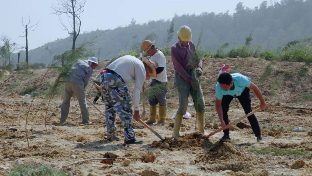 广东省弃碴场施工，环保与工程建设的和谐共融