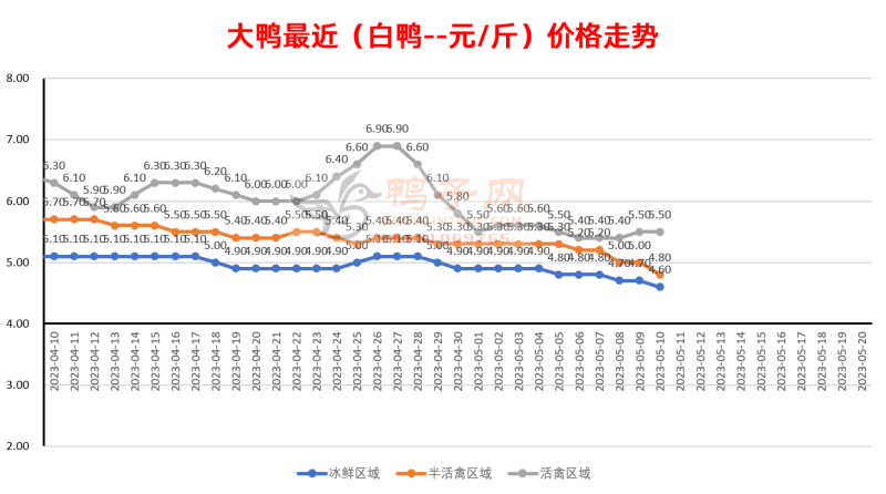 广东省今日毛鸭价格分析与展望