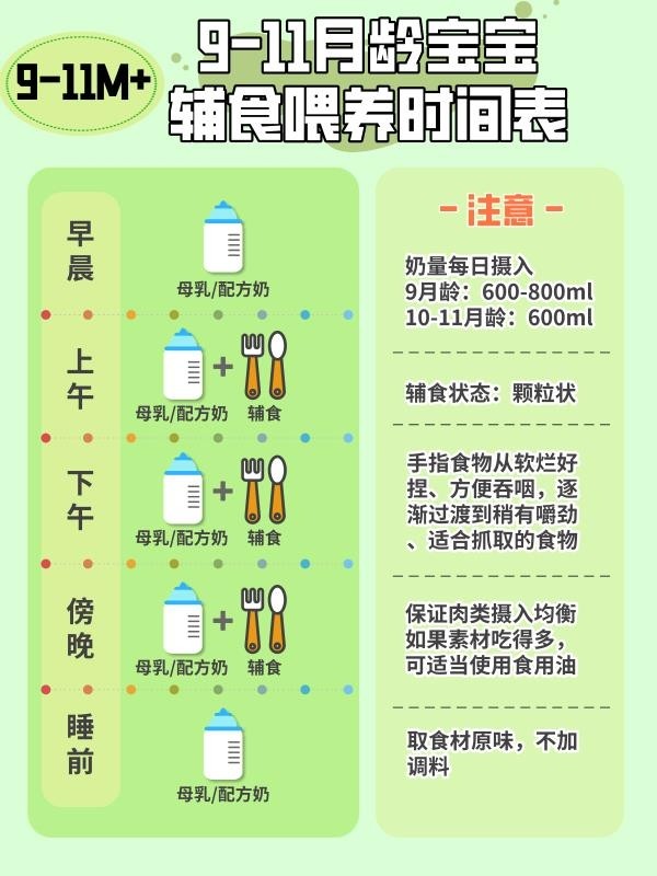 关于如何喂养11个月宝宝的全面指南